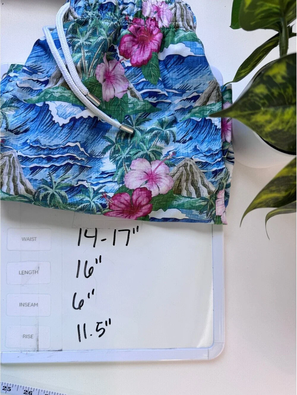 Boys Swim Trunks Tropical Coastal Hawaiian Volcano L Franks Liner Removed